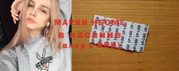 стаф Гусь-Хрустальный