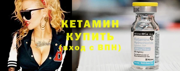 шишки Ельня