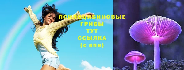 стаф Гусь-Хрустальный