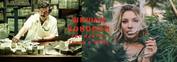 шишки Ельня