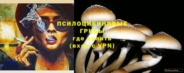 наркотики Дмитриев